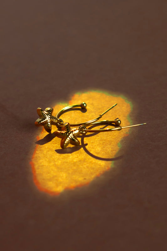 Shooting star earrings